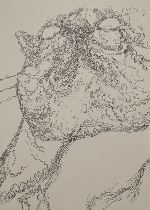 ”Lost”-Diplom Exhibition